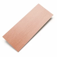 Planžeta bronzová